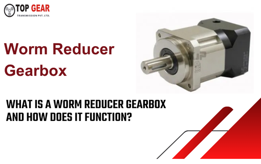 Worm Reducer Gearbox