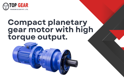 Planetary Gearbox Motor