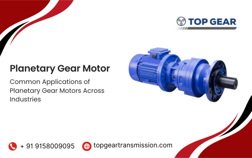 Planetary Gear Motor